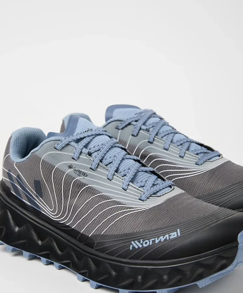 Tomir 02 Gtx Shoe