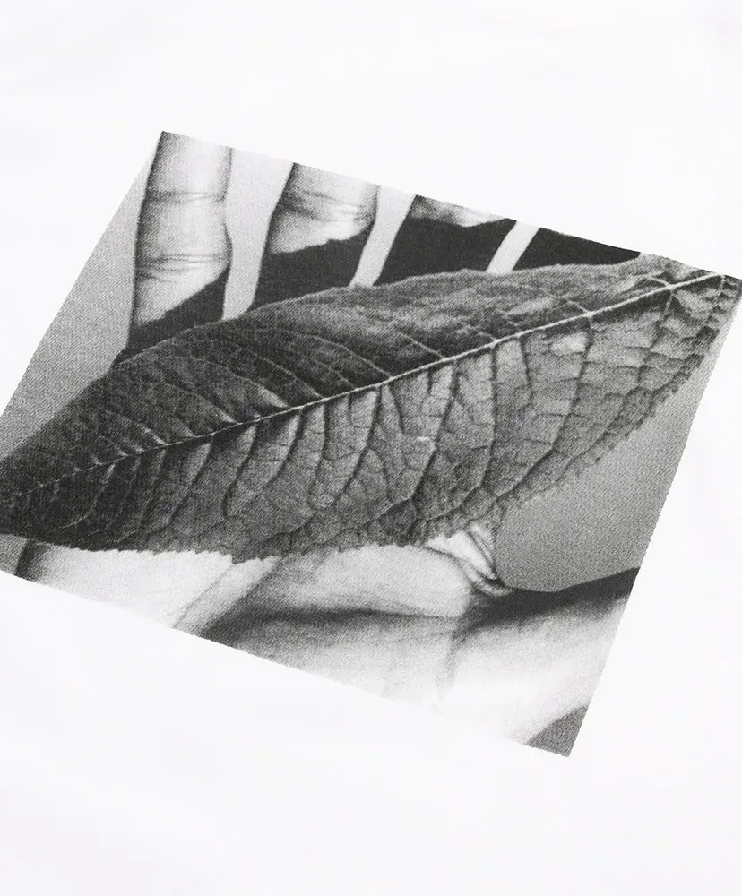 Leaf T-Shirt