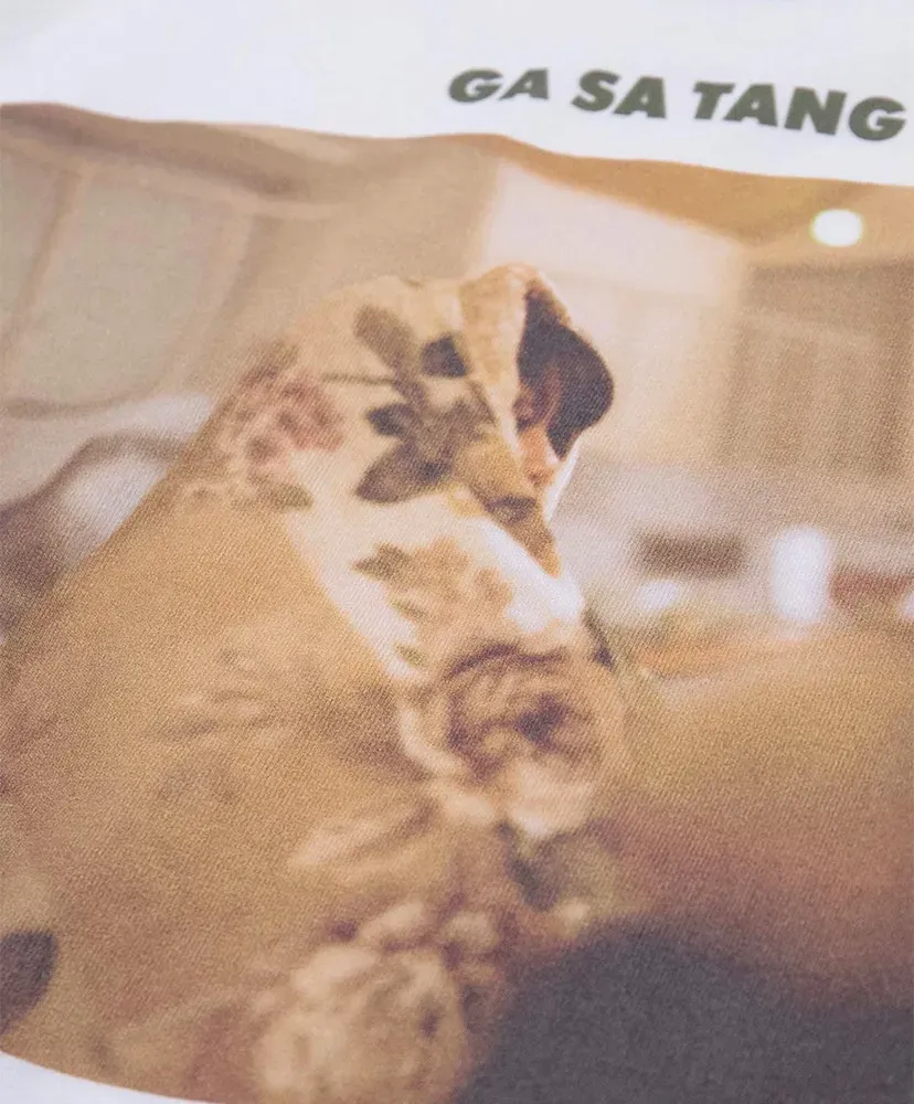 Gasatang - Welcomecopertarcooper