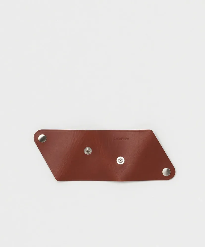 Triangle Coin Case