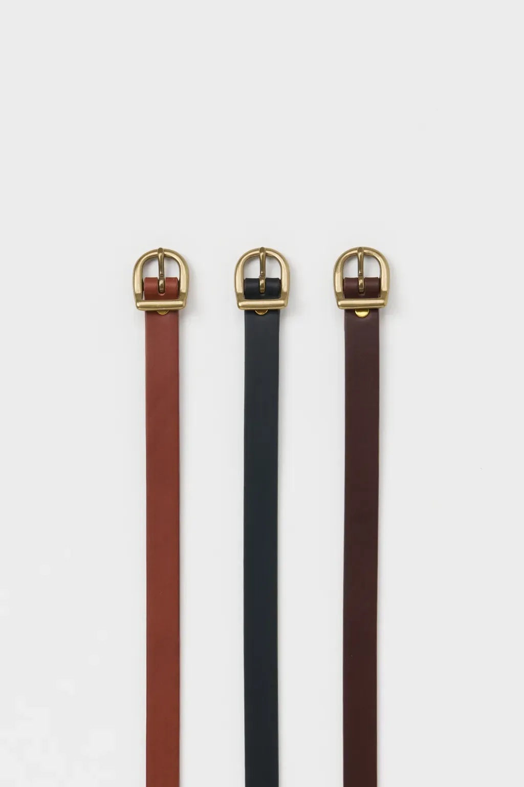 Arc Belt