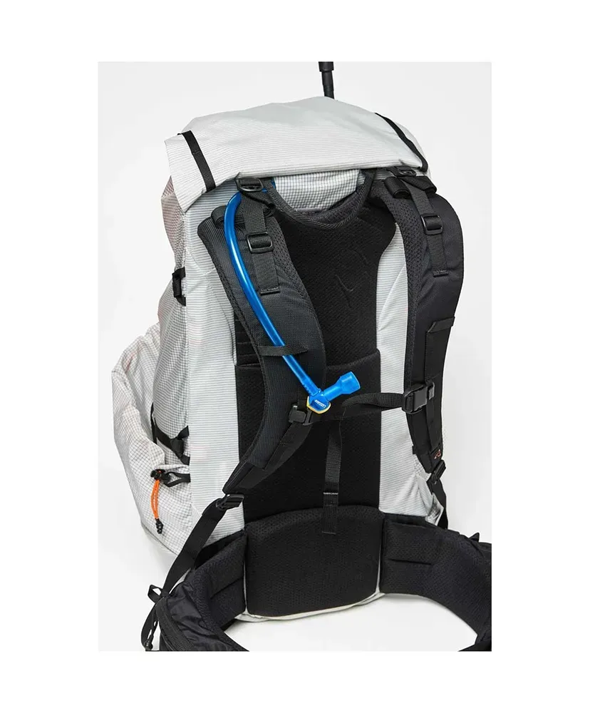 Radix 31