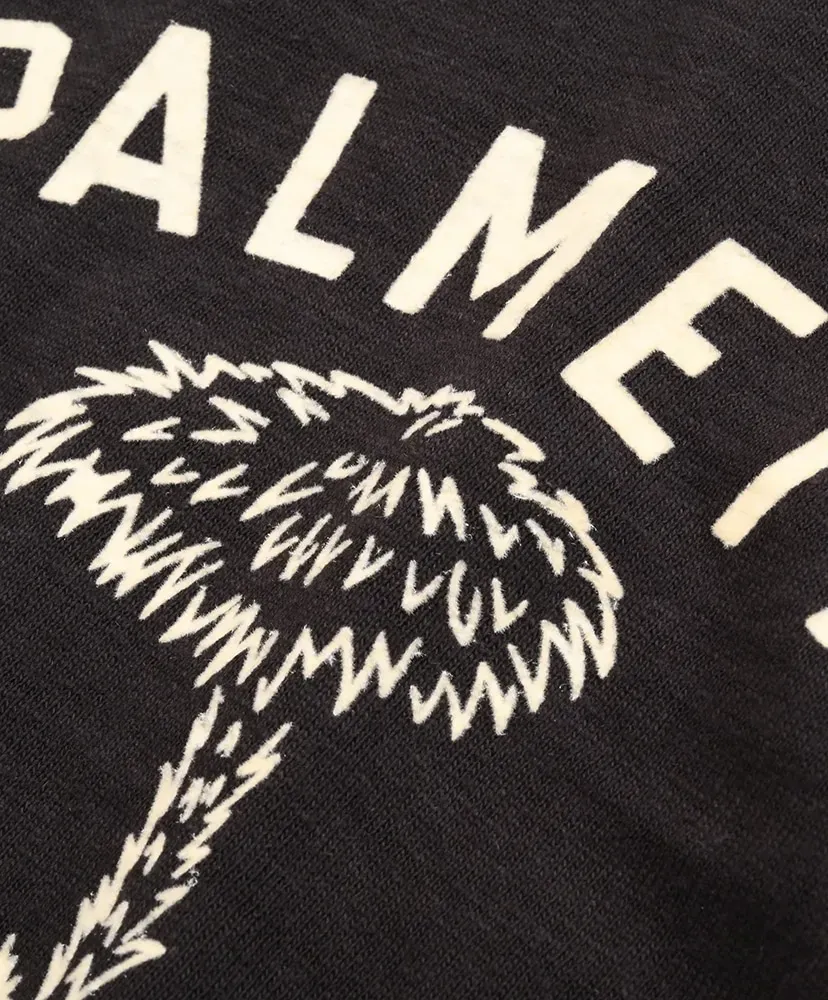 Lot 4601 Palmetto