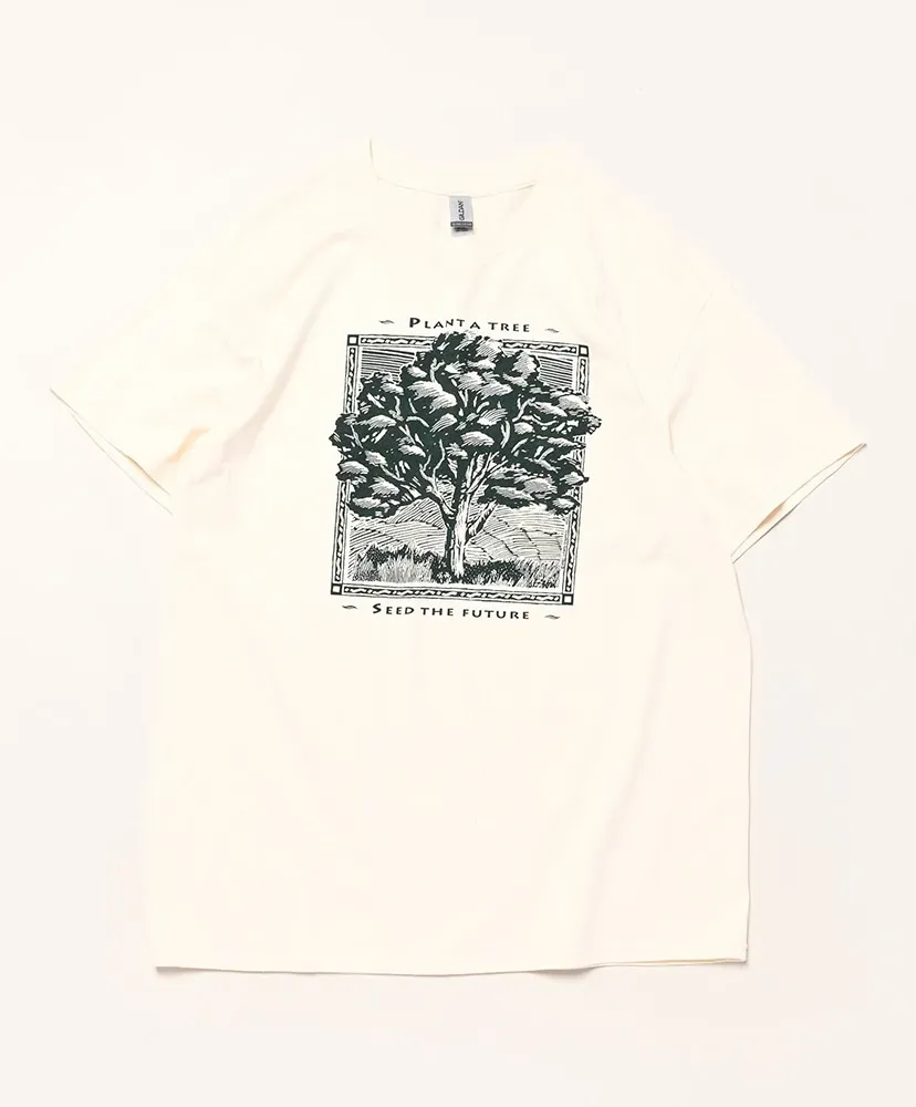 Plant A Tree