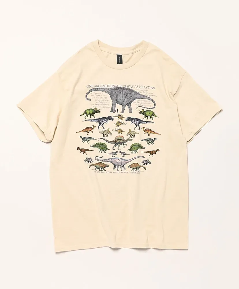 One Dinosaur Is…
