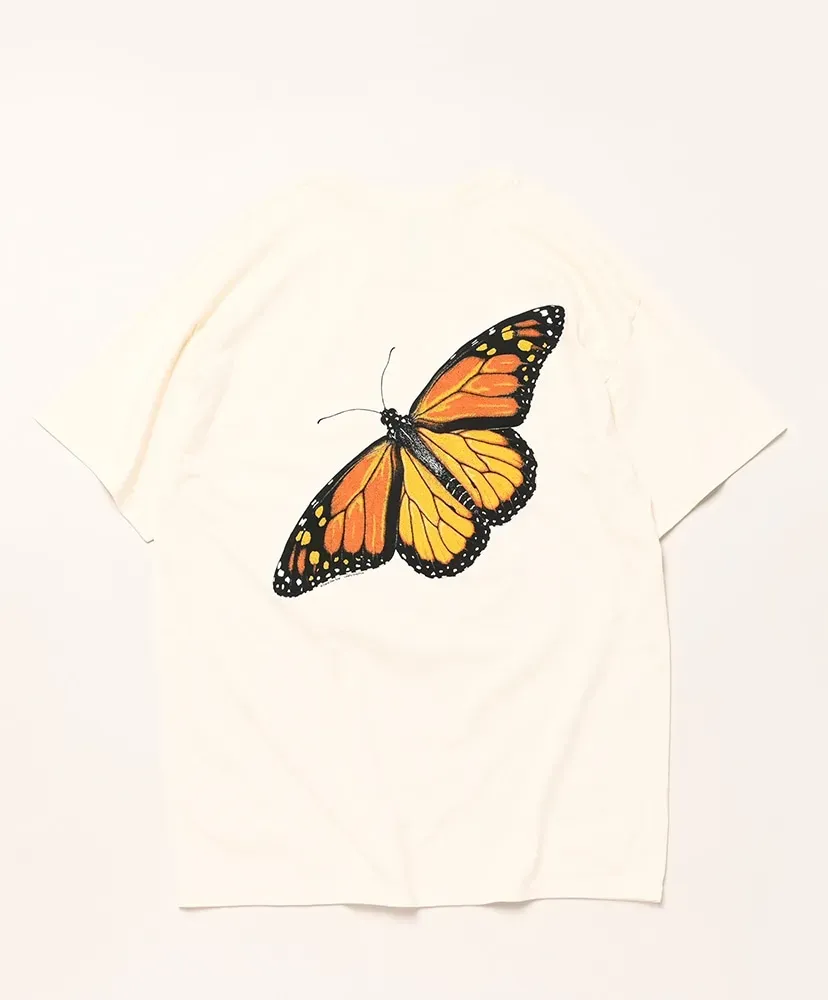 Monarch Metamorphosis