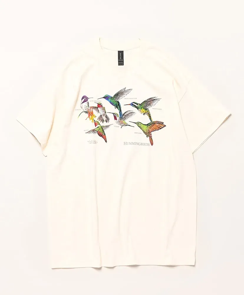 Humming Birds