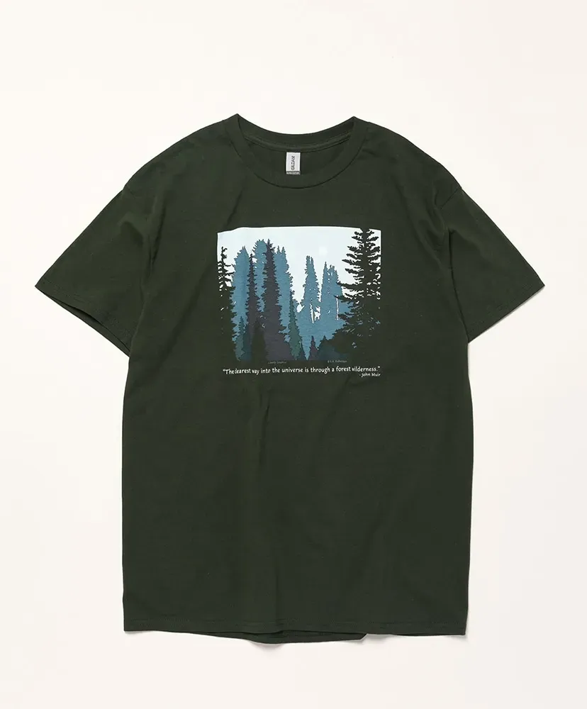 Forest Wilderness