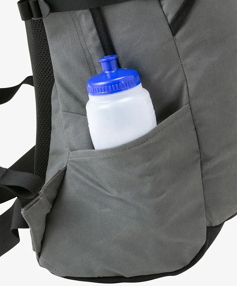 Kauri