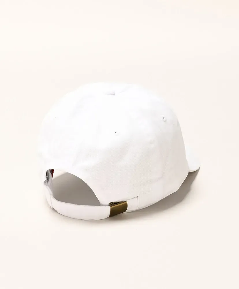 Strap Back Cap - Hydrologic Cycle System