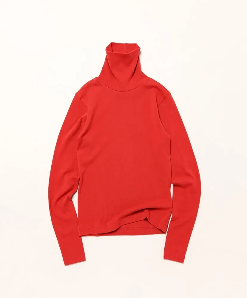 2520A Prezzemolo