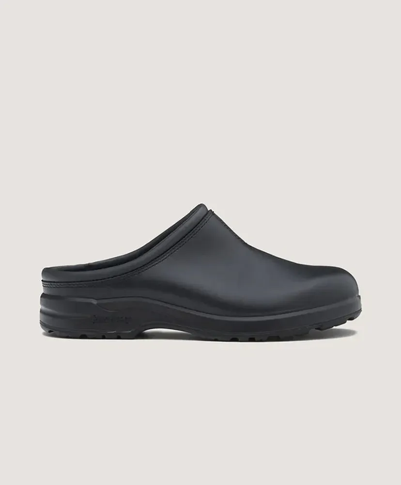 Bs2381009