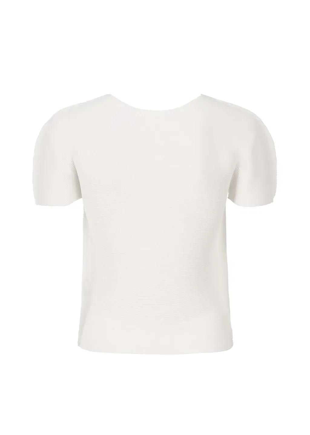 Stretch Pleats
