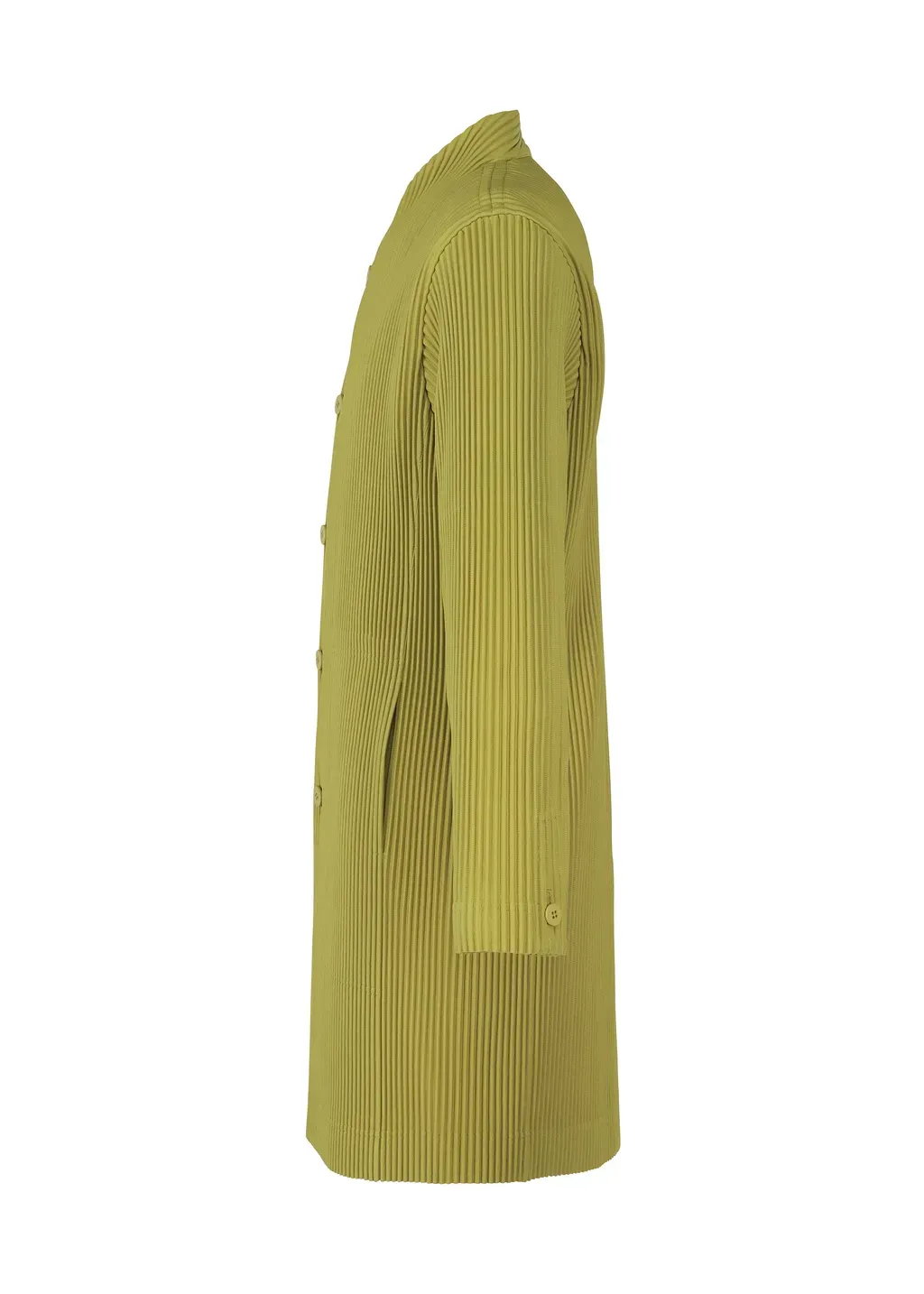 Tailored Pleats 2