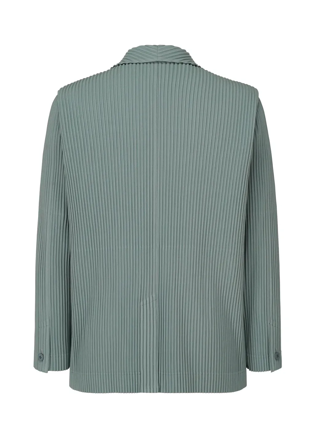Tailored Pleats 1
