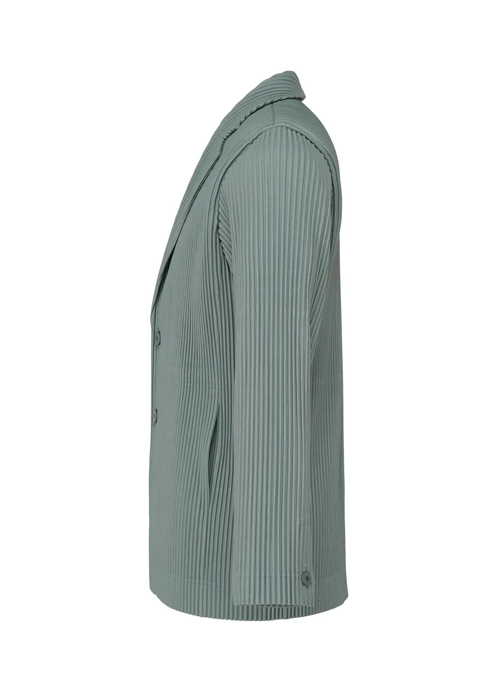 Tailored Pleats 1