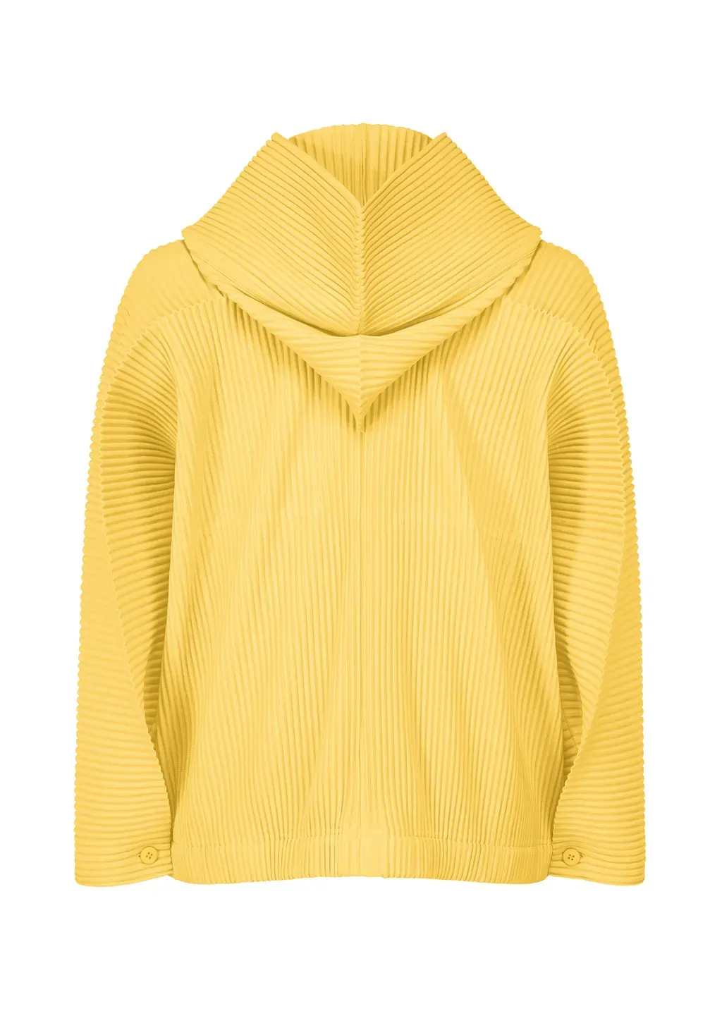 Monthly Colors : March