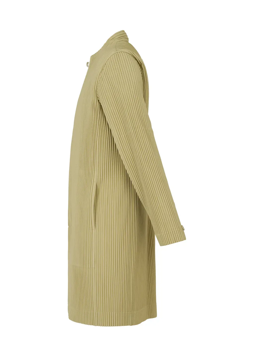 Tailored Pleats 1