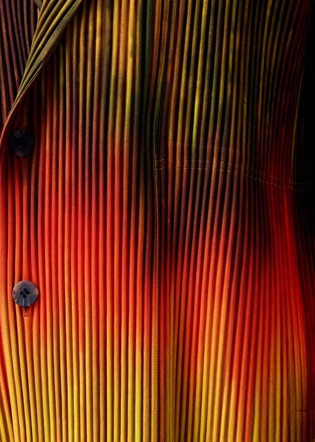 Paint Brush Close-Up