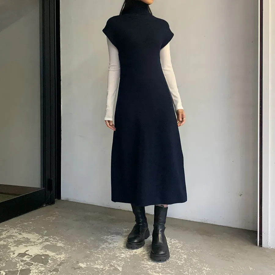 Wool Turtle Knit Dress