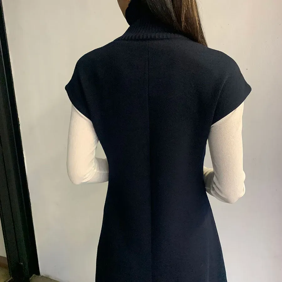 Wool Turtle Knit Dress