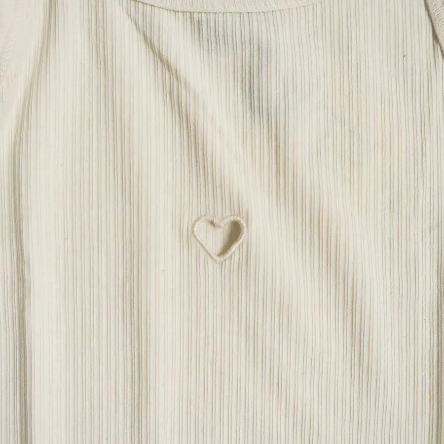 Heart Tank
