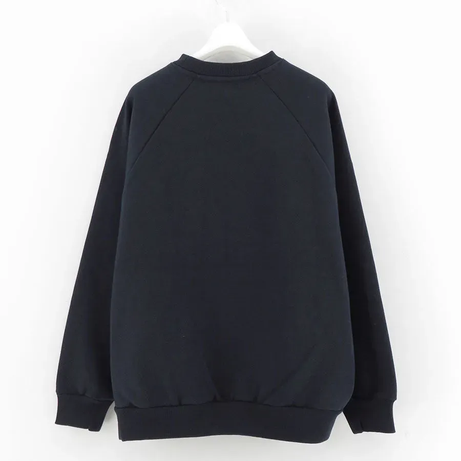 Printed Graphic Crewneck Sweatshirt College Logo