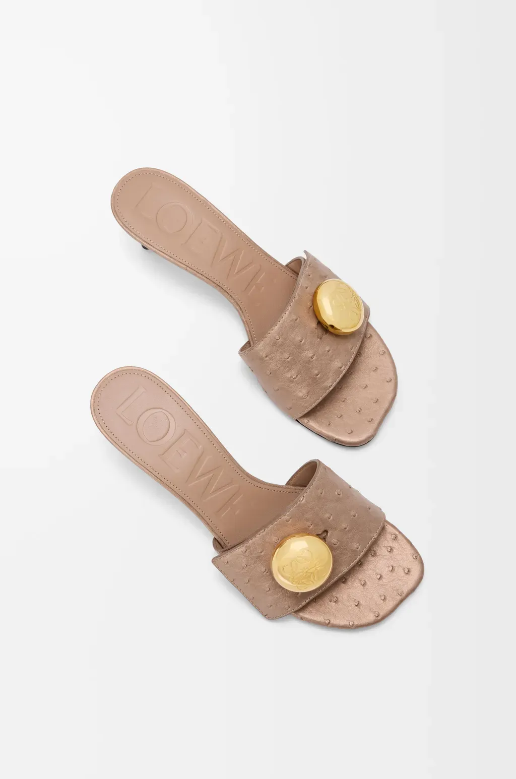 Pebble Slide In Ostrich
