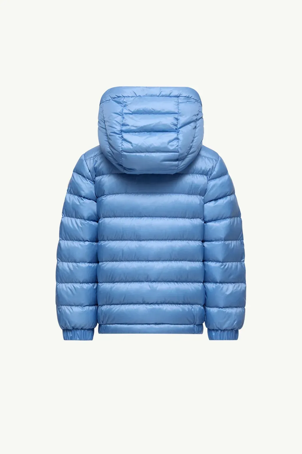 Dilar Hooded Down Jacket