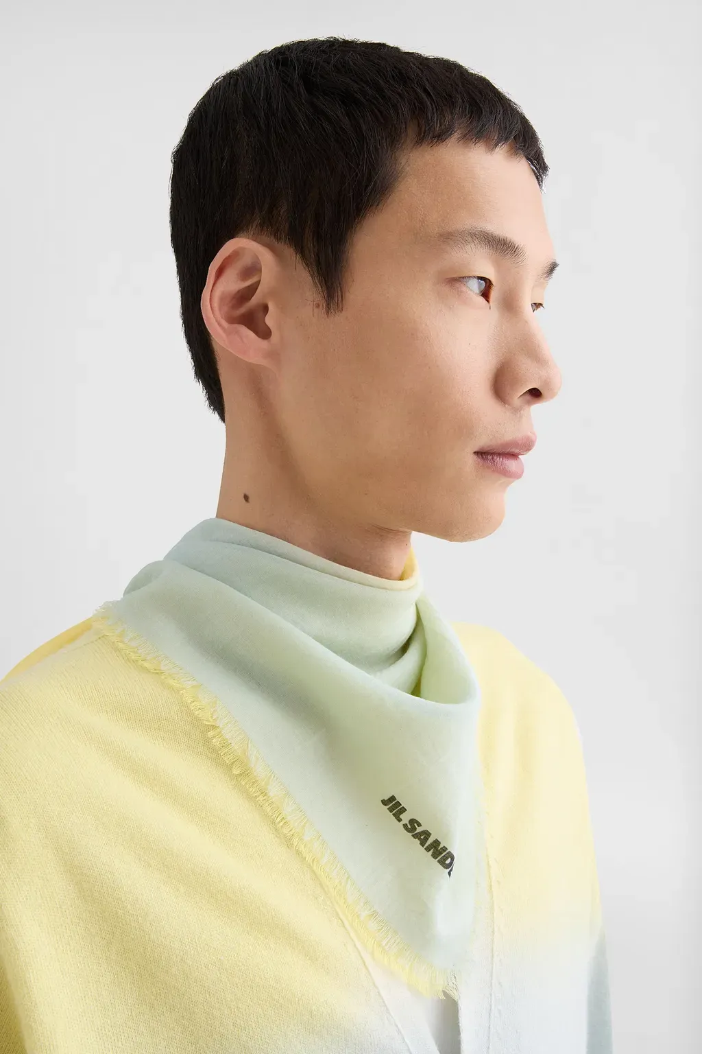 Cashmere Blend Foulard
