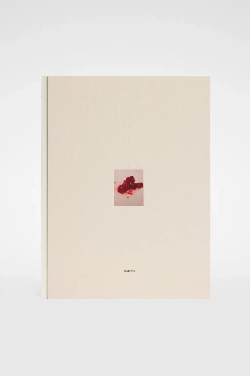 David Sims, Character