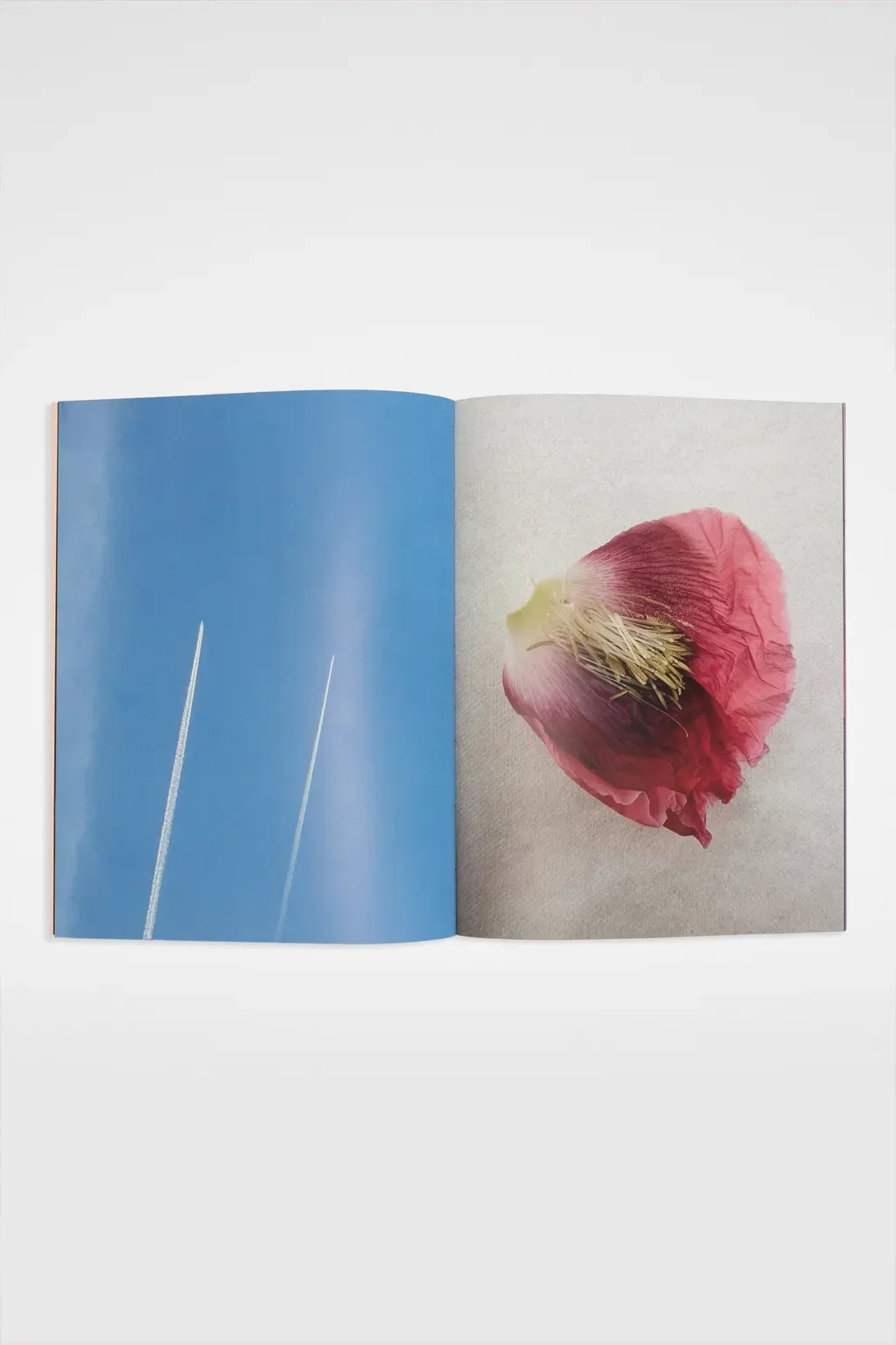 David Sims, Character