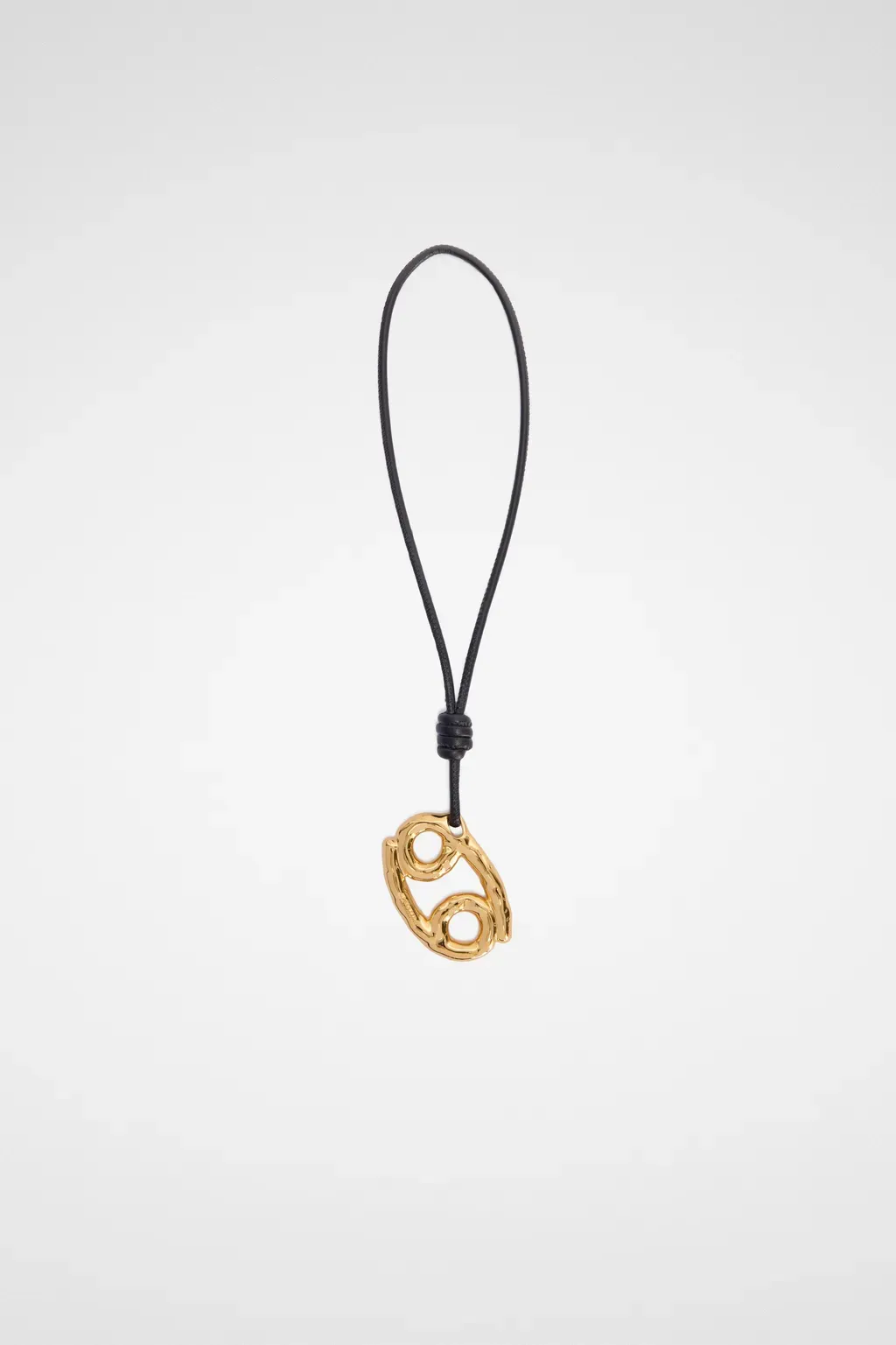 Zodiac Charm