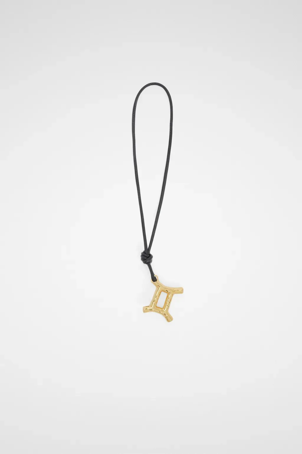 Zodiac Charm