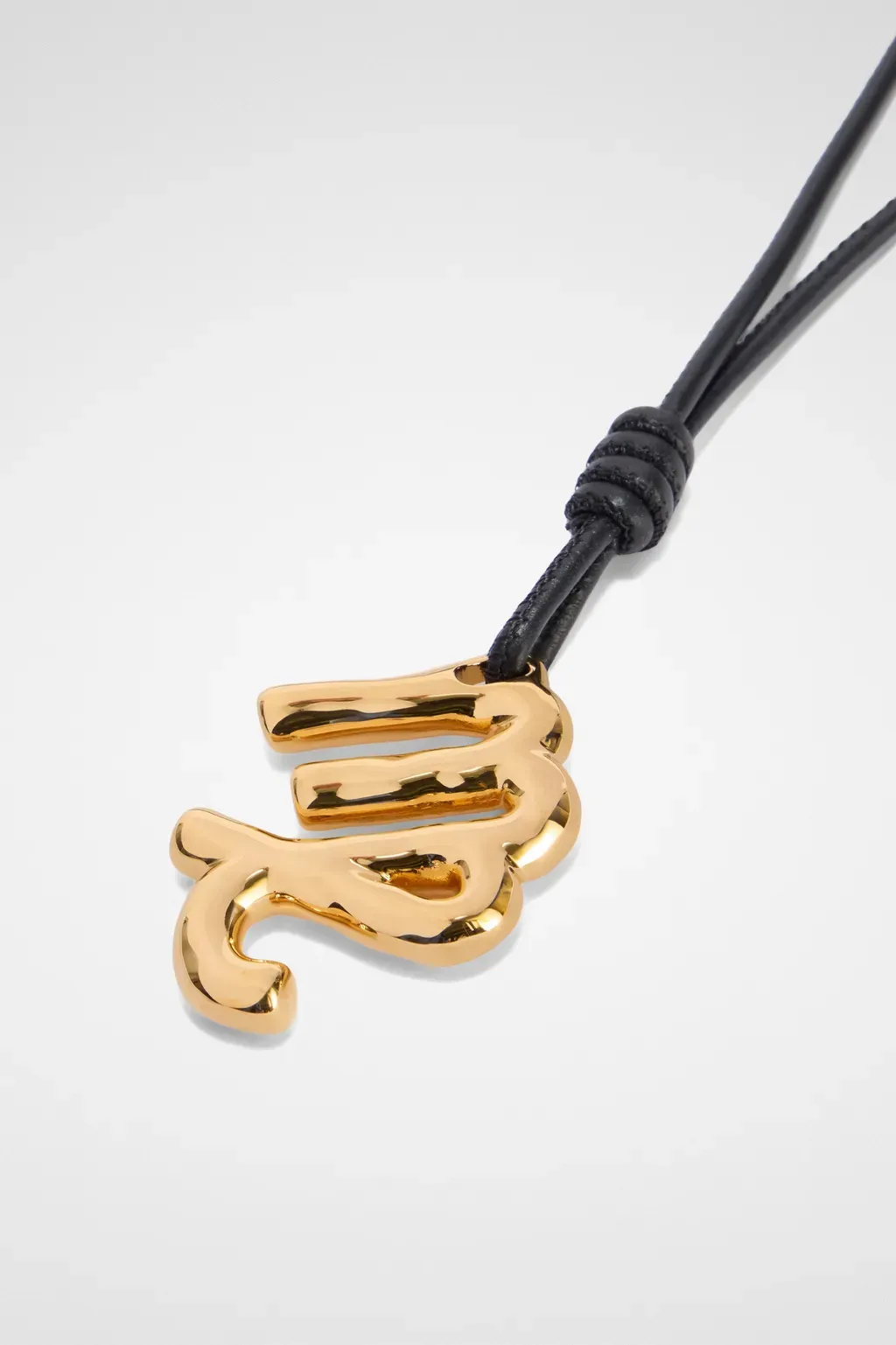 Zodiac Charm