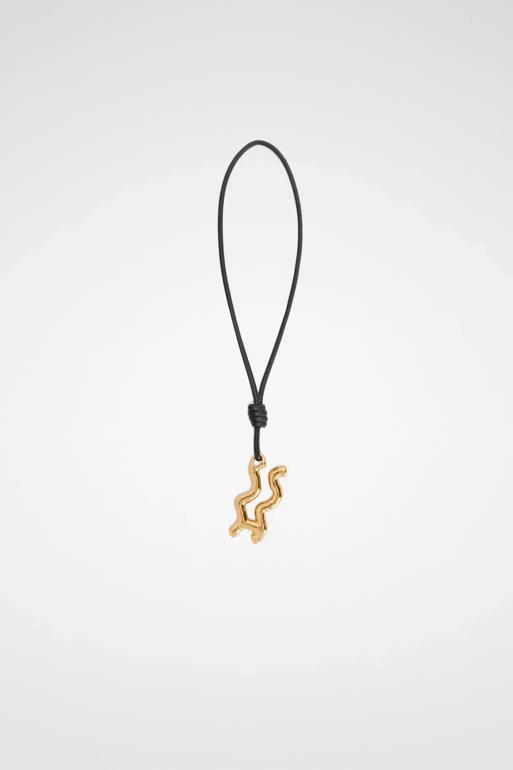 Zodiac Charm