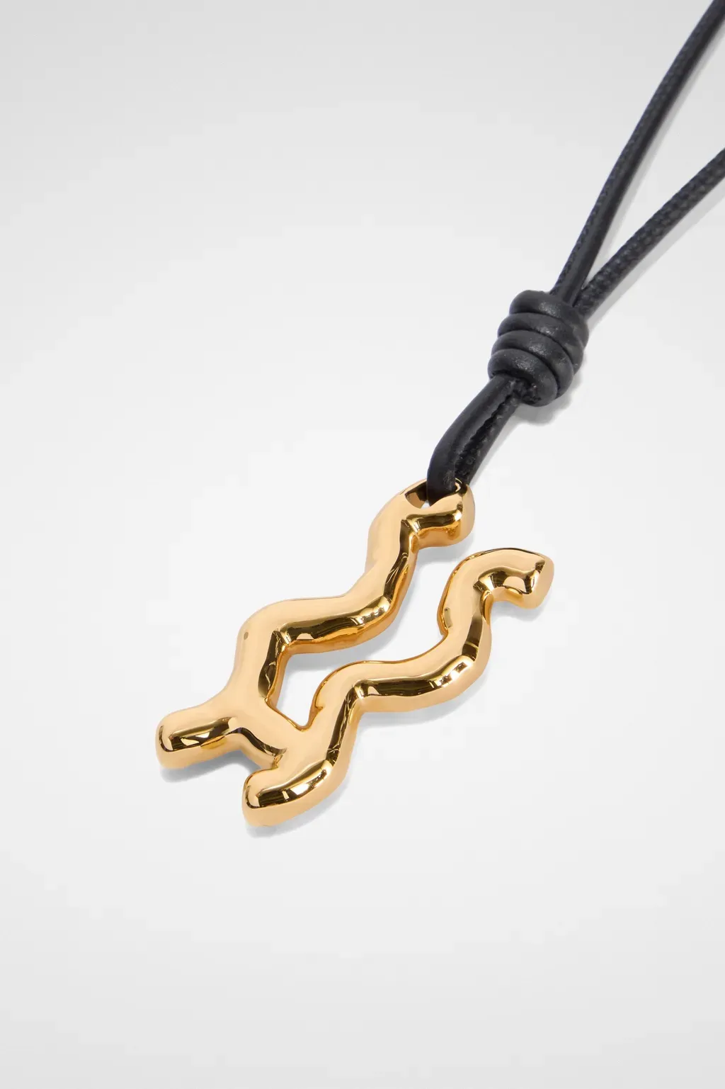 Zodiac Charm