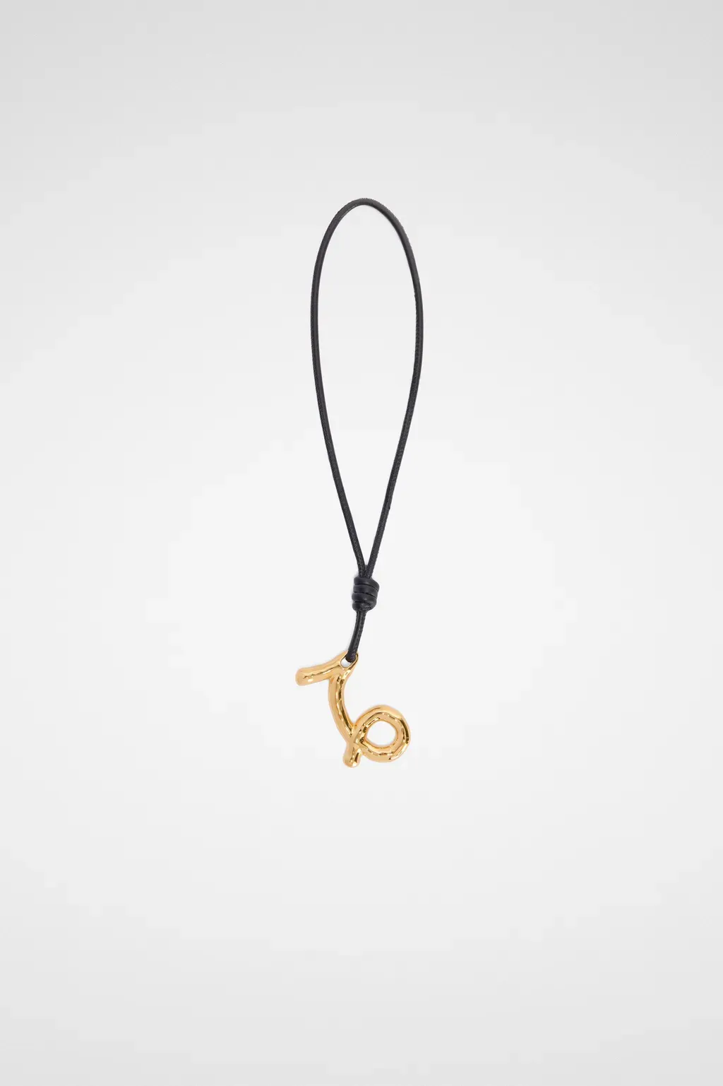 Zodiac Charm