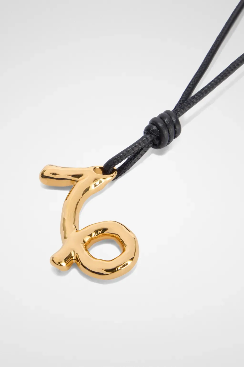 Zodiac Charm