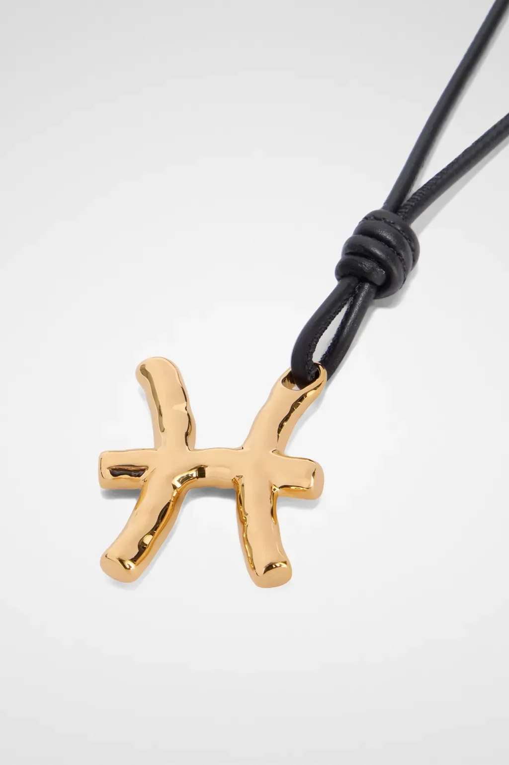 Zodiac Charm