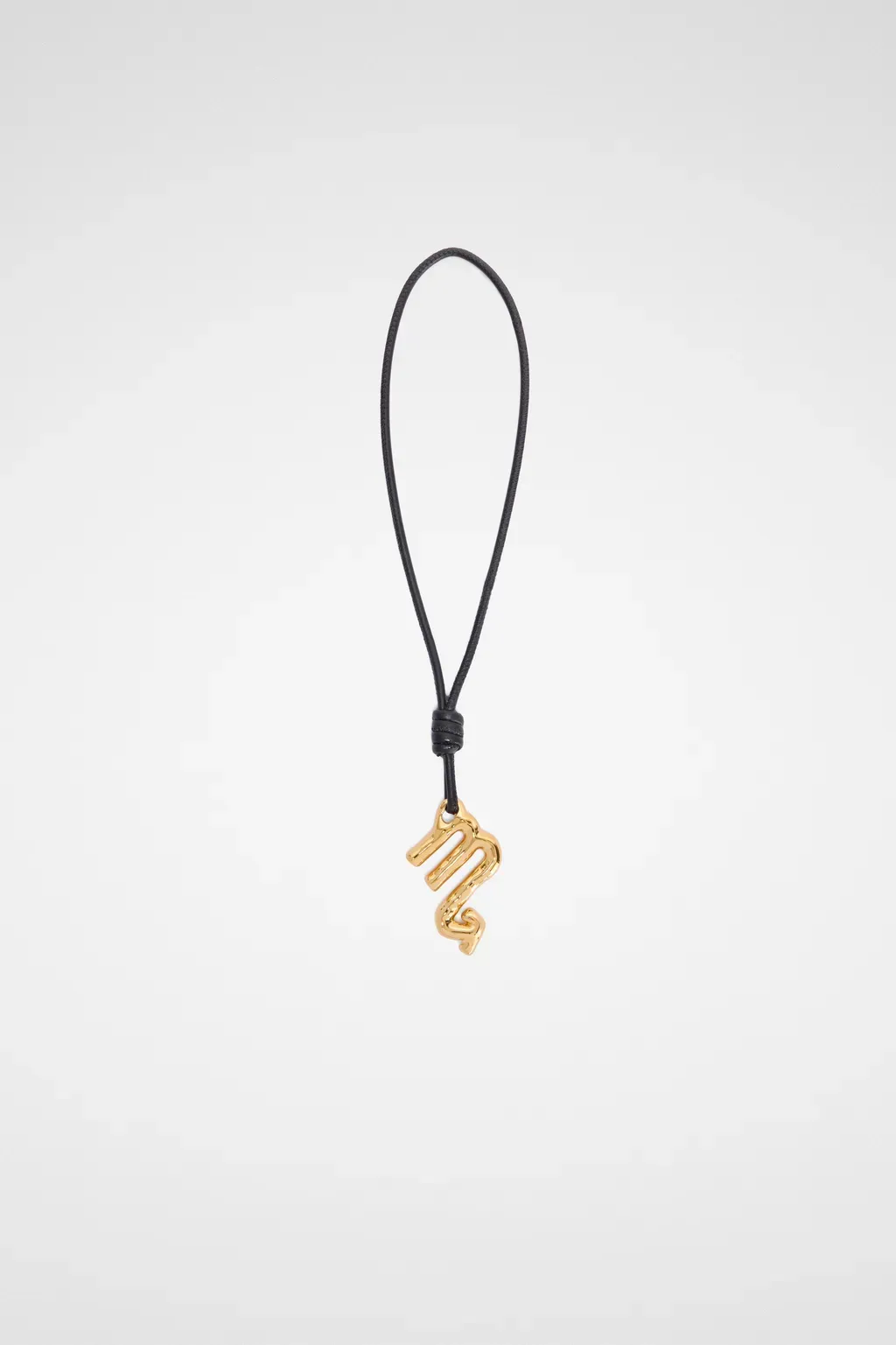 Zodiac Charm