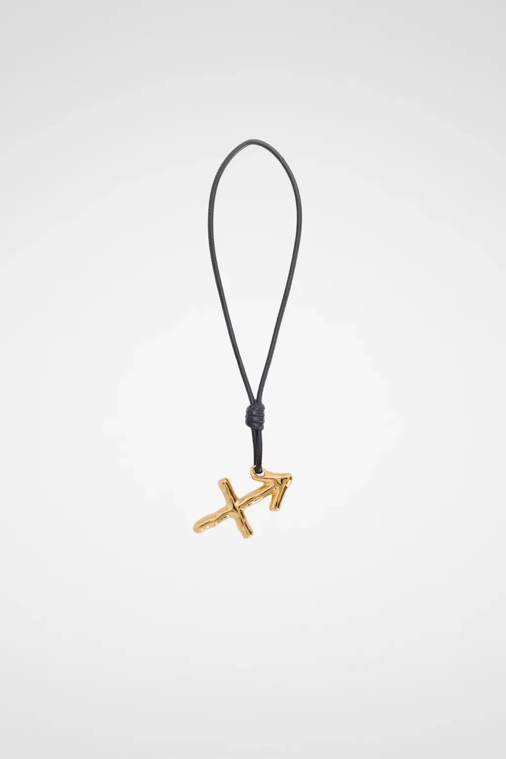 Zodiac Charm
