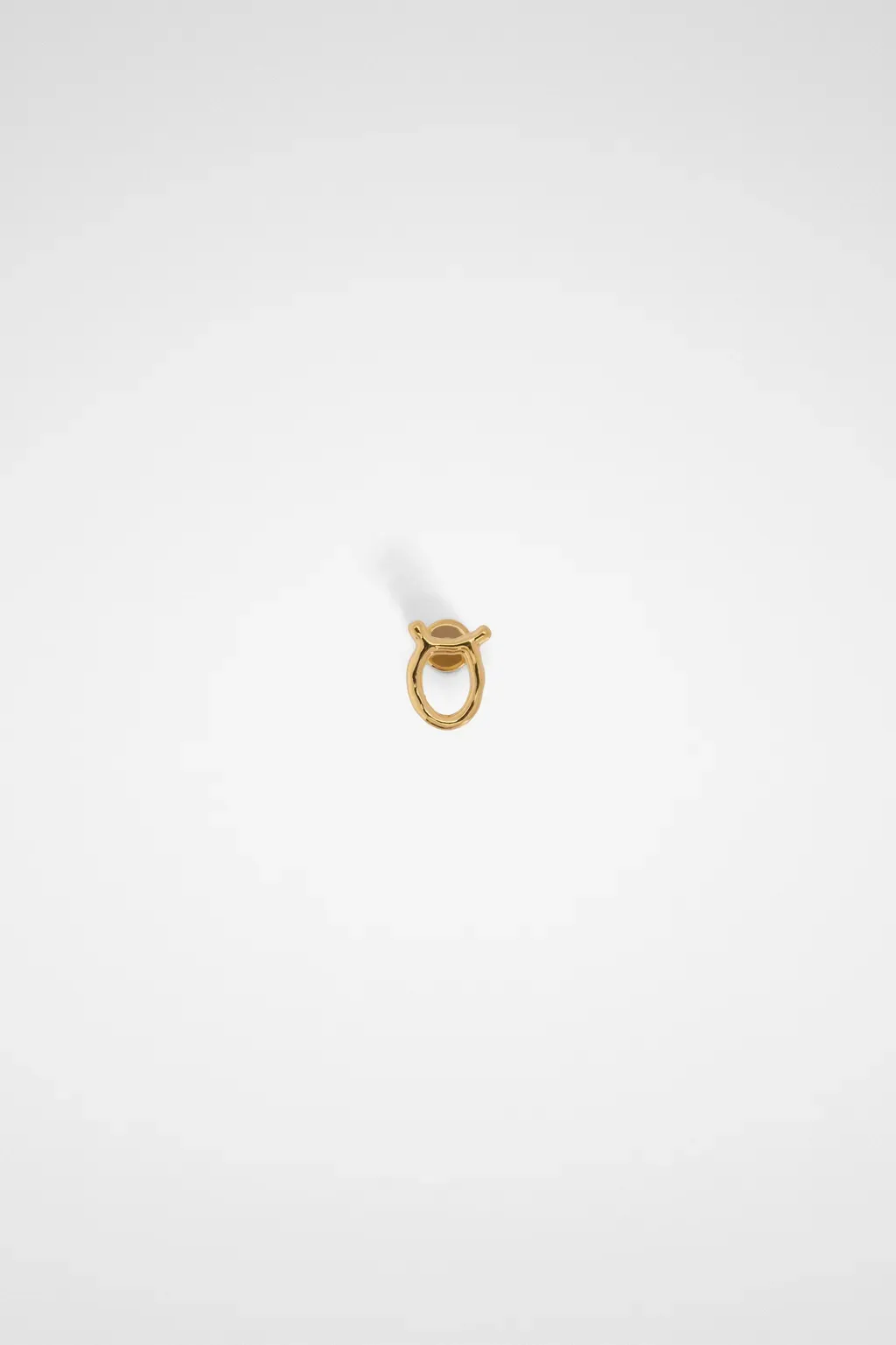 Zodiac Earring