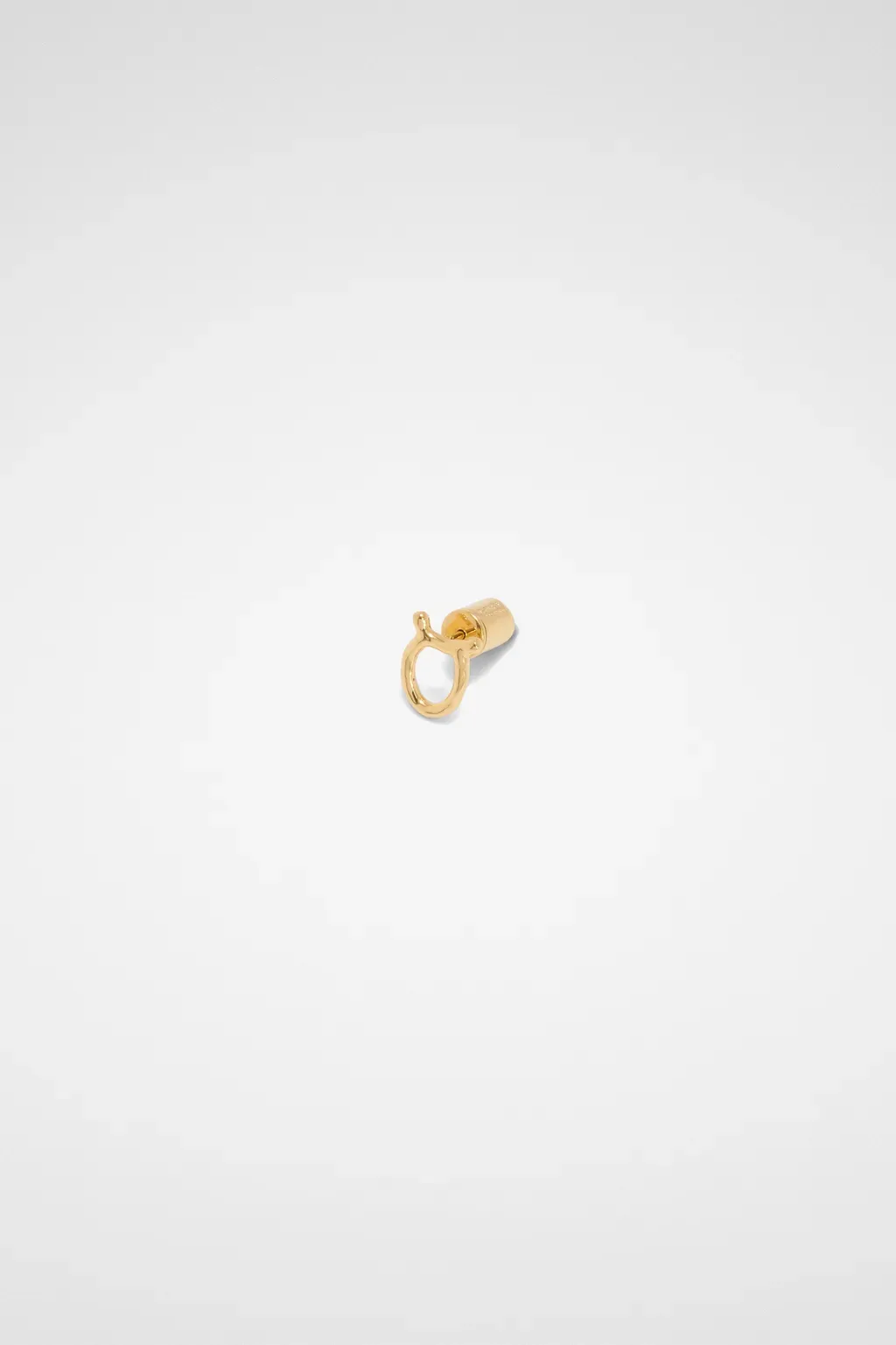 Zodiac Earring