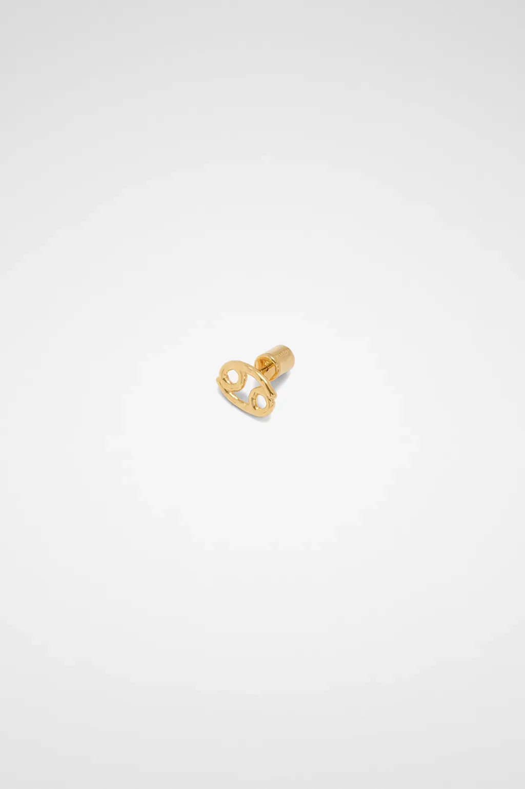 Zodiac Earring