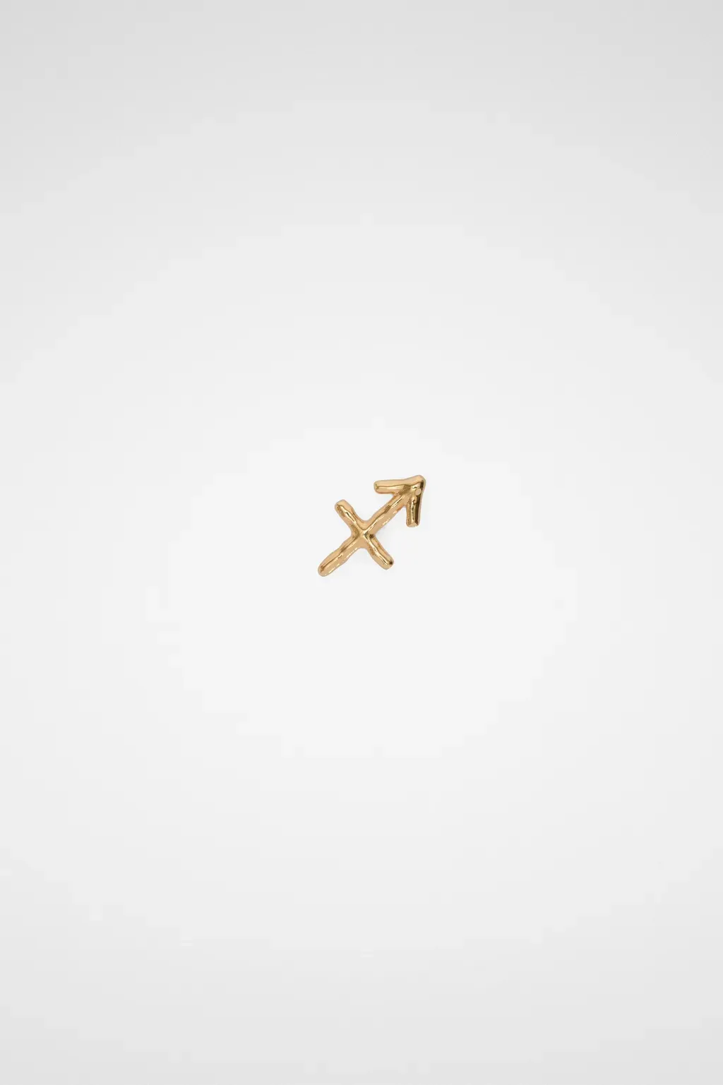 Zodiac Earring
