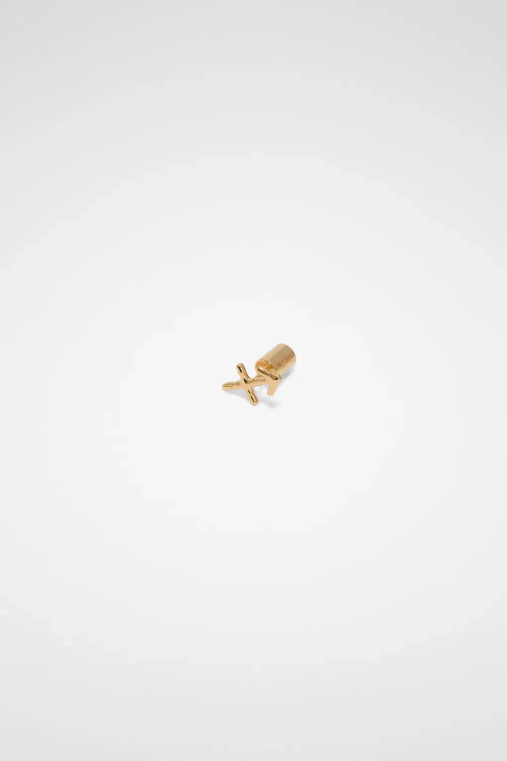 Zodiac Earring
