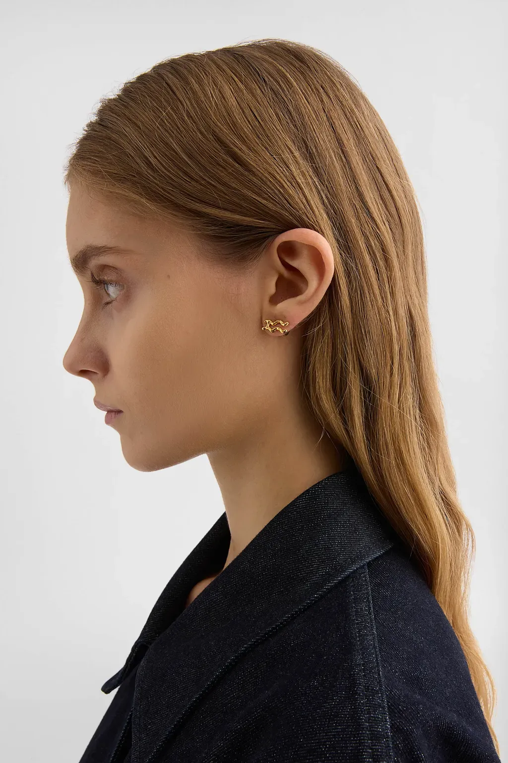 Zodiac Earring