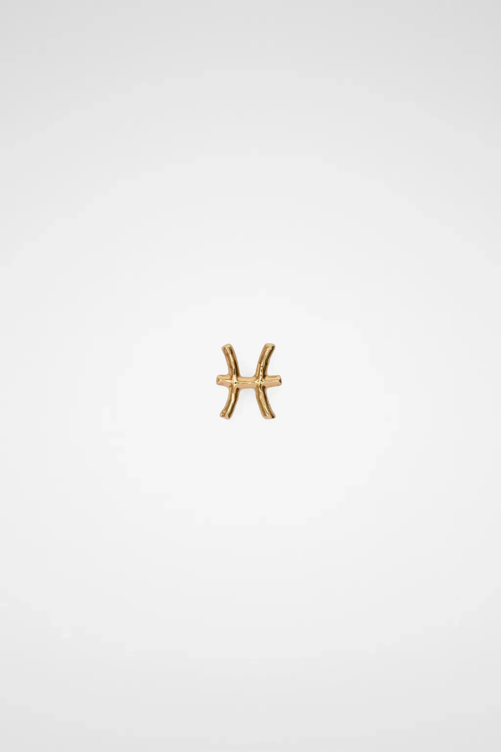 Zodiac Earring