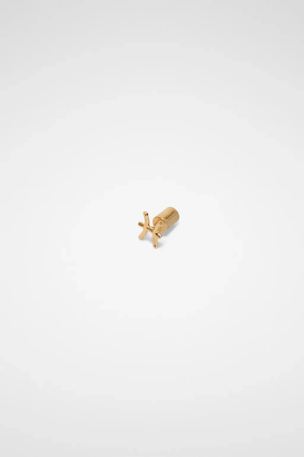 Zodiac Earring